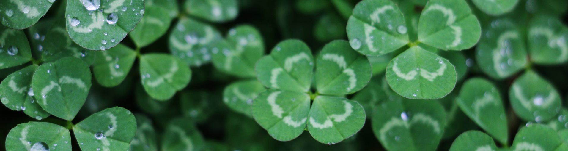 concert-st-patrick